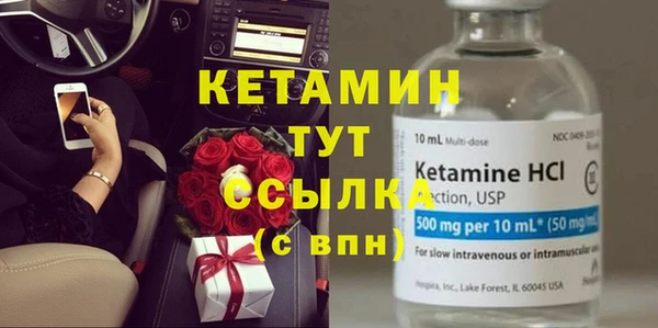 крисы Алексин
