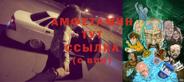 крисы Алексин