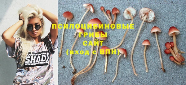 героин Алзамай
