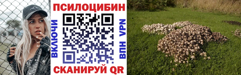 Галлюциногенные грибы Cubensis  наркотики  Омутнинск 